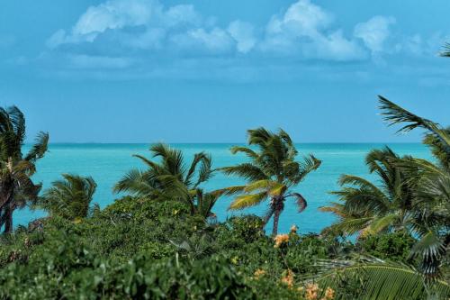 a view of the ocean from a resort with palm trees at Karana Studio 2 - K2 in Long Bay Hills