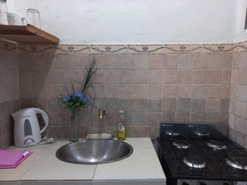 a kitchen counter with a sink and a stove at Hostel en Almirante Brown in Villa Martín Arín