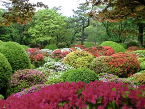 a garden filled with colorful flowers and bushes at Hakone Kowakien Miyamafurin in Hakone
