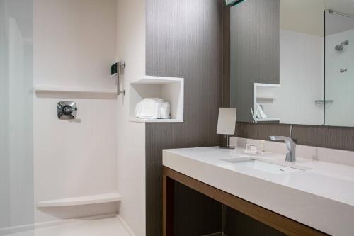 a bathroom with a sink and a mirror and a tub at Courtyard Sioux City Downtown/Convention Center in Sioux City