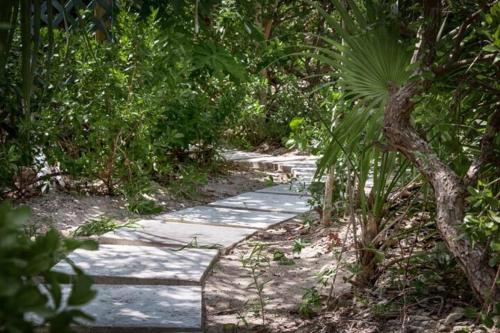 a stone path in the middle of a garden at Wyakha 2 Ocean View in Long Bay Hills