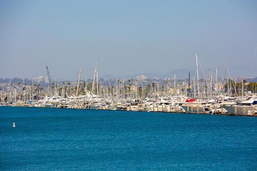 a bunch of boats docked in a harbor at On The Beach Casa in San Diego