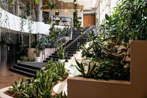 悉尼悉尼帕拉马塔美居酒店的大堂设有楼梯和植物