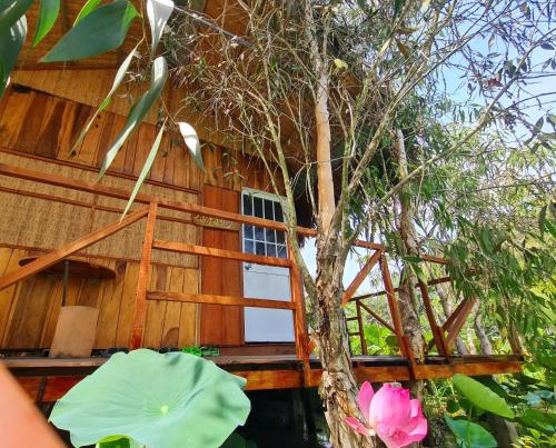 Κήπος έξω από το Việt Mekong Farmstay
