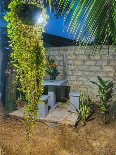 a bench in a garden with a plant at Moon Bay in Mirissa