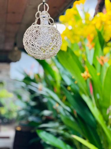 a white light hanging in front of flowers at Moon Bay in Mirissa