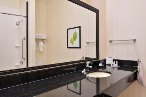 Bagno di Fairfield Inn and Suites by Marriott Birmingham Pelham/I-65