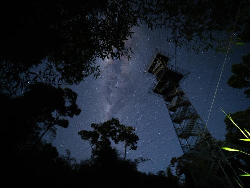 a starry night with the milky way in the sky at Tambopata Research Center in Tambopata