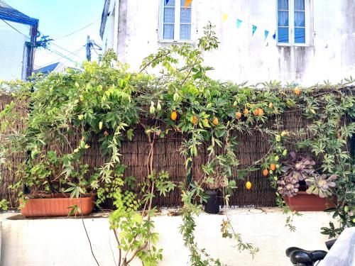 Photo de la galerie de l'établissement Maison rénovée centre bourg, 3 chambres, proche commerces - FR-1-813-11, à Groix