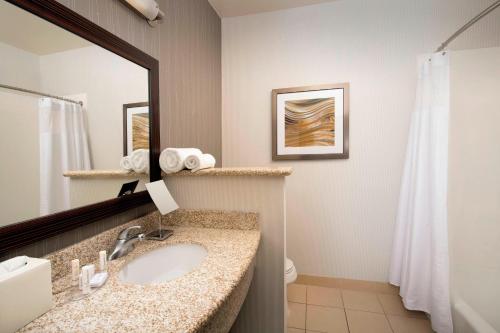 Koupelna v ubytování Courtyard by Marriott Tyler
