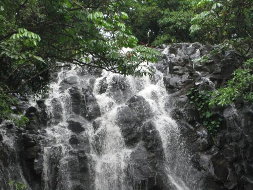a waterfall on the side of a mountain with trees at Kookaburra Motel Yungaburra in Yungaburra