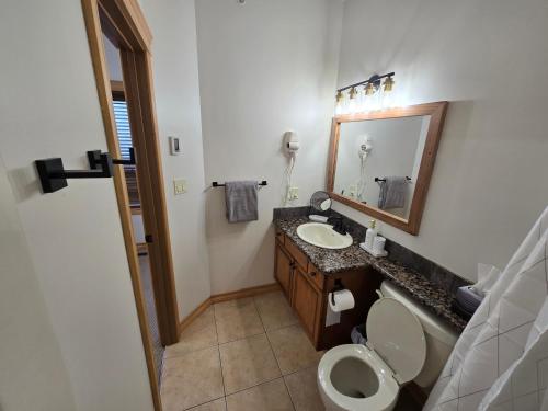 a bathroom with a toilet and a sink and a mirror at Mountain Escape for Ski and Golf Enthusiasts in Kimberley