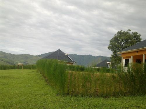 a field of grass with houses and mountains in the background at The Crested Crane Bwindi Hotel in Rugando