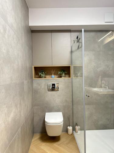 a bathroom with a toilet and a shower at Apartament Premium Zamkowa B12 in Tczew