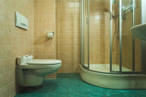 a bathroom with a toilet and a shower at Apartments Esplanade in Špindlerův Mlýn