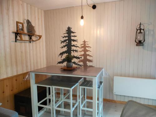 Gambar di galeri bagi Studio RDC 4-5 pers pied des pistes di Chaillol