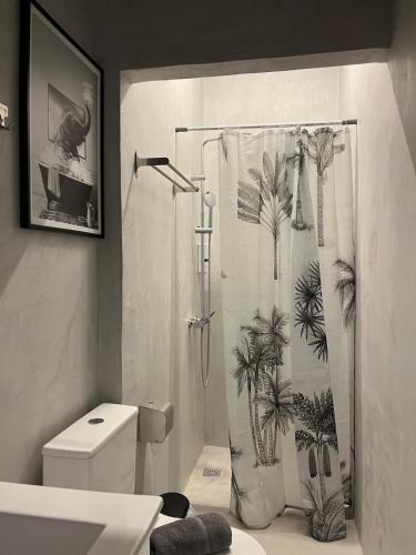 Medusa suite stadiou by Zeussuites