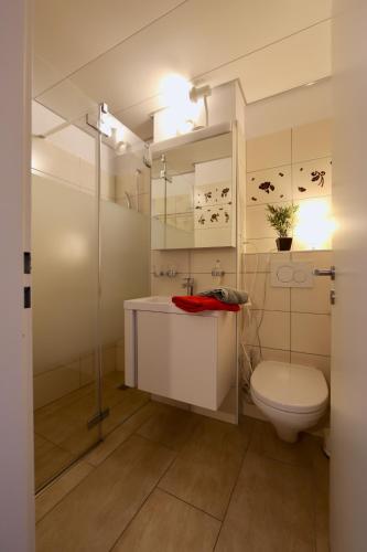 a bathroom with a toilet and a sink and a shower at Ferienwohnung C04 in Orselina