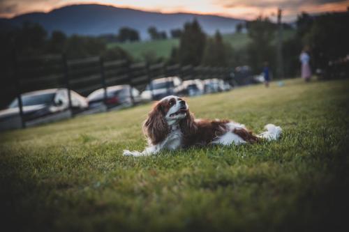 Φωτογραφία από το άλμπουμ του Beskid Sielski - klimatyczne domki w Lipowej z widokiem na góry i sauną - Dream Apart σε Ζίβιετς