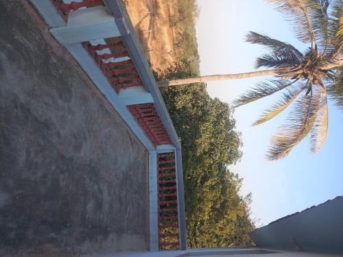 a building with a palm tree next to a wall at A 3bhk plot with a 10ksqft yard in Pune