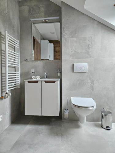 a bathroom with a toilet and a sink and a mirror at Brick House Residence in Poprad