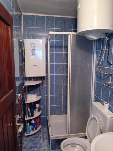 a small bathroom with a shower and a toilet at Tina in Jahorina