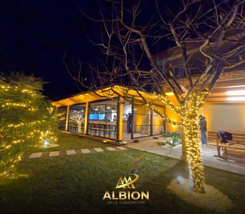 a building with christmas lights around a tree at Villa Guesthouse Albion in Lezhë