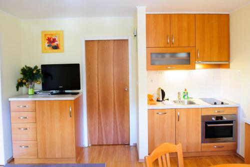 羅加斯卡斯拉提納的住宿－Apartment Park 16，一间带木制橱柜和水槽的厨房以及一台电视。