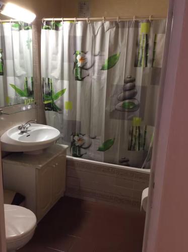 une salle de bain avec un rideau de douche avec des toilettes et un lavabo dans l'établissement Fréjus, 200 m des plages appart f1 avec piscine, à Fréjus