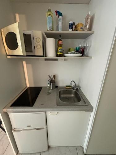 une petite cuisine avec un évier et un comptoir dans l'établissement Studio Carquefou, à Carquefou