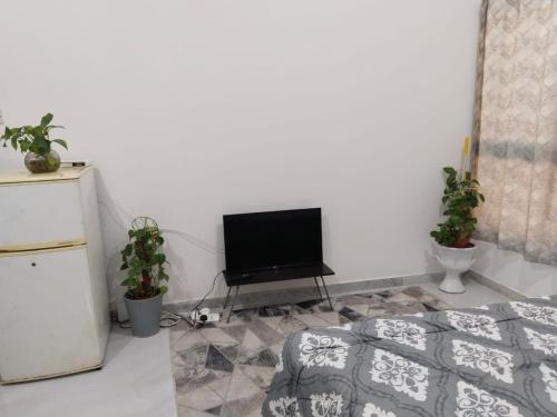 a living room with a television and potted plants at Rama Rooms in Abu Dhabi