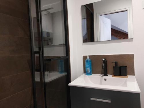 une salle de bain avec un lavabo et une douche avec un miroir dans l'établissement Seul sous les toits de Dijon, à Dijon