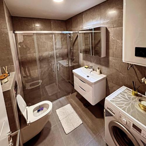 a bathroom with a shower and a toilet and a sink at Sky Residence Barocco in Trebinje