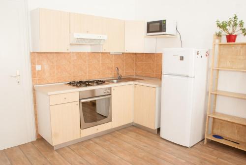 Apartment Bon Voyage في ماريبور: مطبخ مع ثلاجة بيضاء ومغسلة