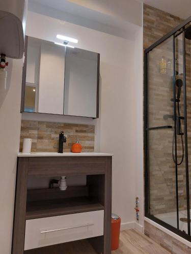 une salle de bain avec un lavabo et une douche dans l'établissement Le boudoir - Wi-Fi - TV, à Dijon
