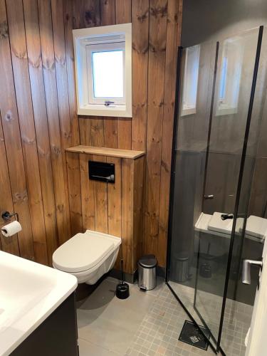 a bathroom with a toilet and a sink and a window at Hafjell Alpinlandsby Apartment 43 in Hafjell
