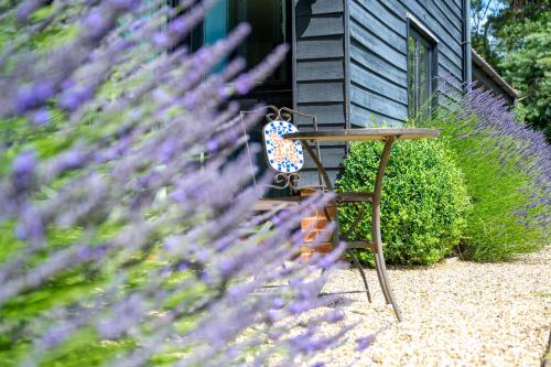 a bench in front of a house with purple flowers at Moles Meadow 4 in Middleton