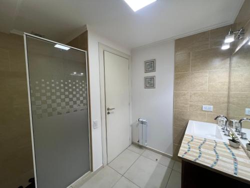 a bathroom with a shower and a sink at Domus piso 2 in Necochea