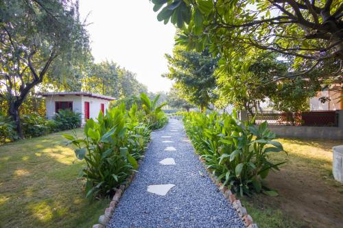 a gravel path in a garden with trees and a house at ELIVAAS Hidden Oasis 4BHK with Pool, Mud House & Container House in Dhauj