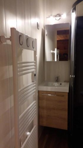 une petite salle de bain avec un lavabo et un miroir dans l'établissement Superbe Studio Ambiance Chalet, à Ustou