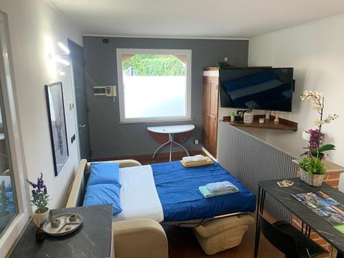 Televisyen dan/atau pusat hiburan di Ranch house - Casa fronte maneggio in collina