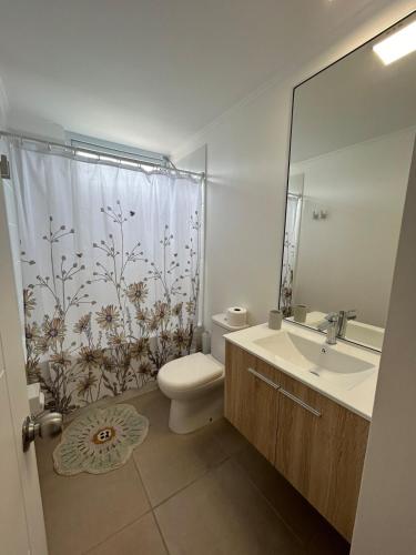 a bathroom with a toilet sink and a shower curtain at Apartment in Papudo in Agua Salada