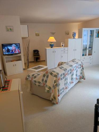 une chambre avec un lit et une télévision à écran plat dans l'établissement Grand Studio Balcon Parking Privé Aulus les Bains, à Aulus-les-Bains