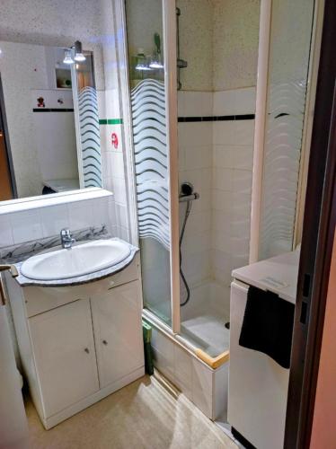 une petite salle de bain avec un lavabo et une douche dans l'établissement Grand Studio Balcon Parking Privé Aulus les Bains, à Aulus-les-Bains