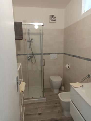 a bathroom with a shower and a toilet and a sink at B&B FIOR DI CAMPO in Ronago