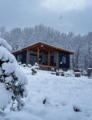a cabin in the snow with snow covered trees at Гірські будиночки in Zhdenievo
