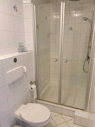 a white bathroom with a shower and a toilet at Lindner Ferienwohnungen und Doppelzimmer in Fichtelberg