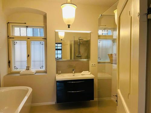 a bathroom with a sink and a tub and a mirror at Studio-Apartment im Weinberg in Meißen