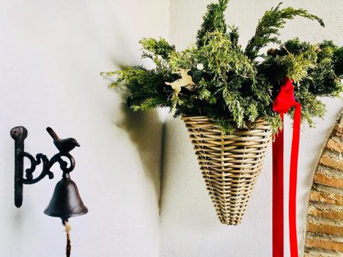 a plant in a wicker basket hanging on a wall at country house in Ardea