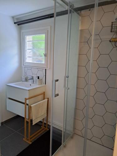 une salle de bain avec un lavabo et une douche en verre dans l'établissement Apartment, à Bièvres